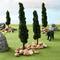 12 Packs: 4 ct. (48 total) Mini Conifer Trees by Make Market®